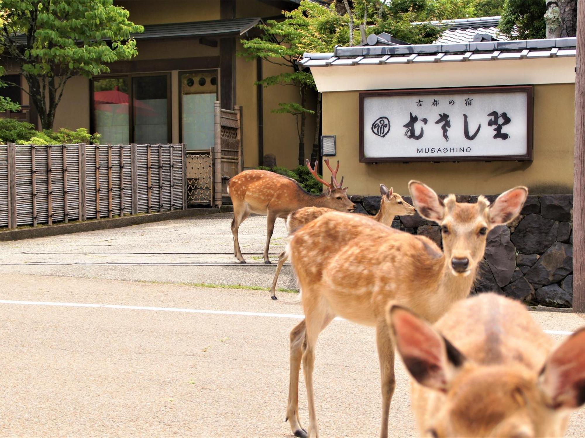 Kotonoyado Musashino Нара Екстер'єр фото